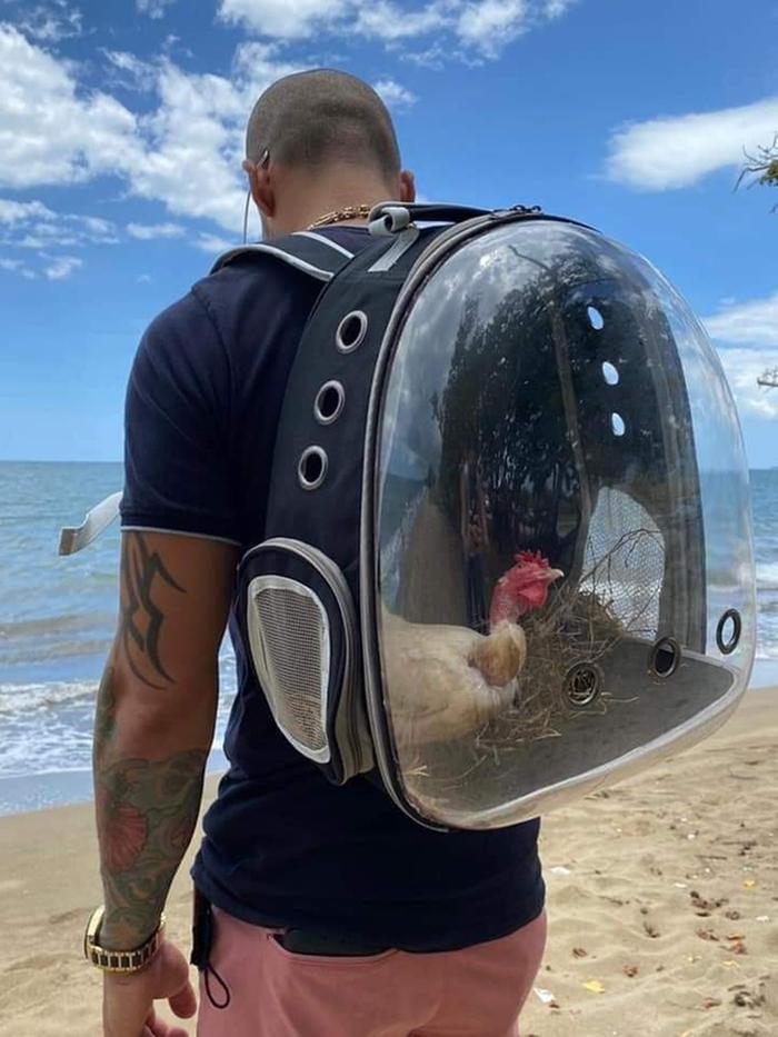 [Thumbnail for 286276359_2528896173907408_9191739684318941818_n.jpg]