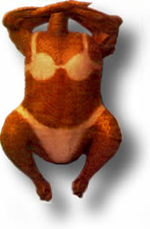[Thumbnail for tanned-tutkey.jpg]
