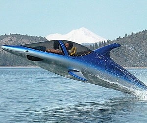 [Thumbnail for dolphin-power-boat1-300x250.jpg]