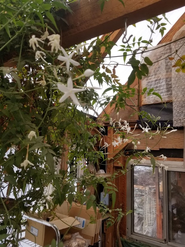 [Thumbnail for 20200216_132609.jpg]