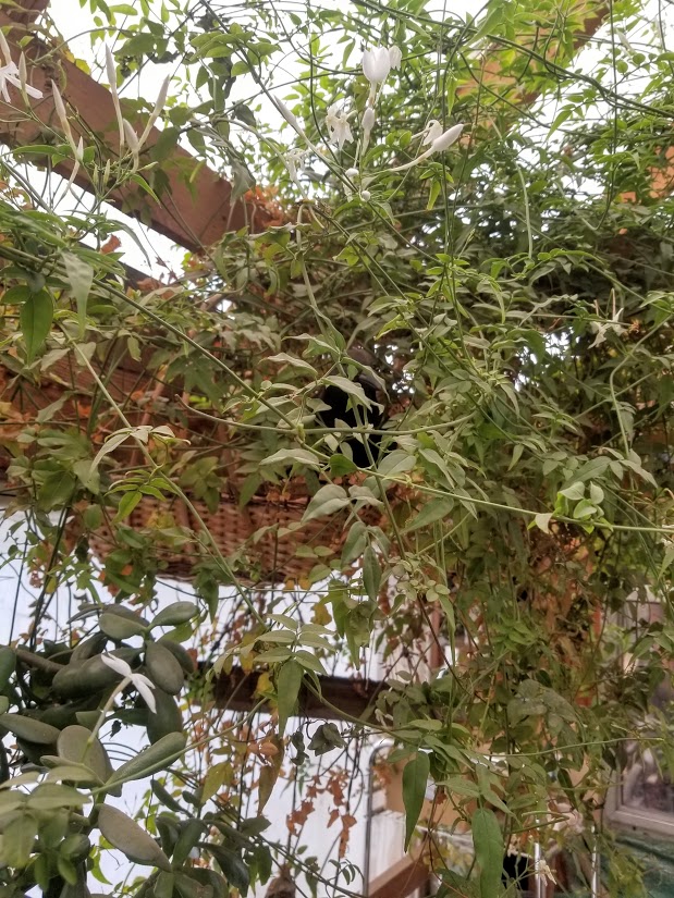 [Thumbnail for 20200216_132613.jpg]