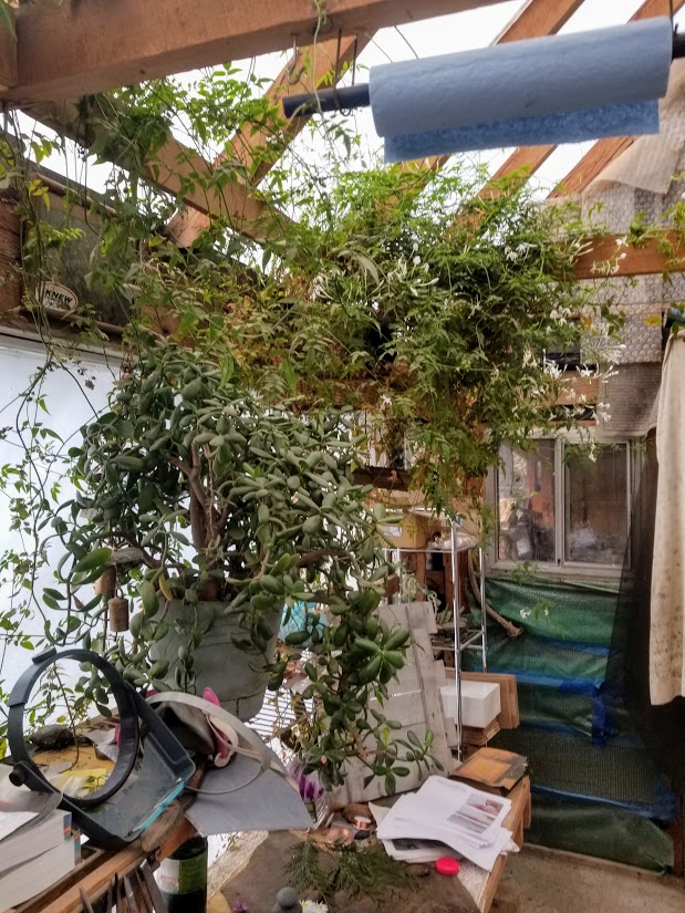 [Thumbnail for 20200216_132626.jpg]