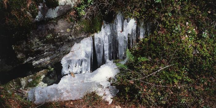 Icicles in summer! (picture found on internet, not mine)