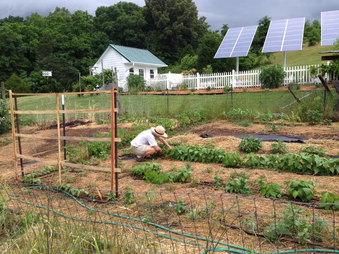 Garden and solar panels