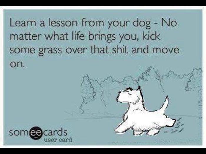 [Thumbnail for Dog-lesson-kick-some-grass-over-that-shit-and-move-on.jpg]