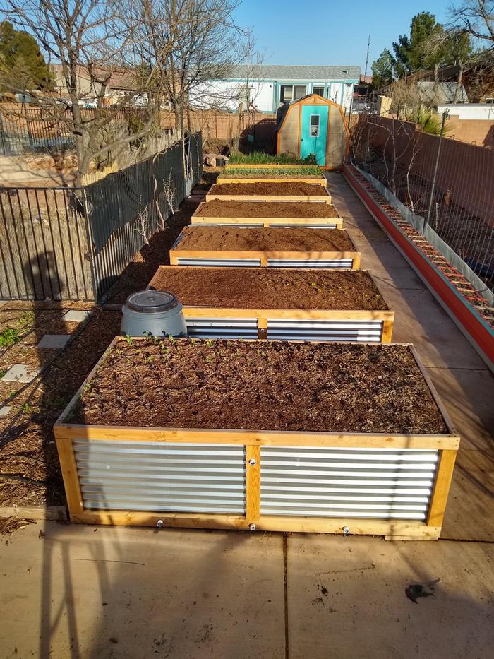 Just finished filling the last of the new raised beds last night, and stood on a ladder to get this picture.