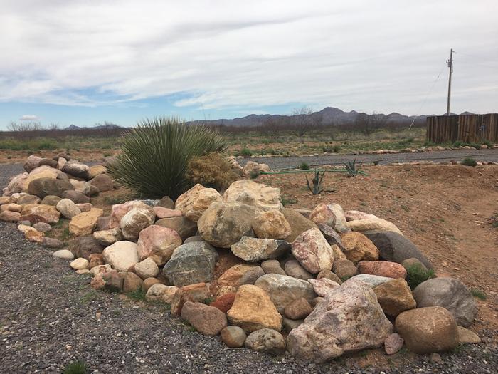 rock garden reptile habitat