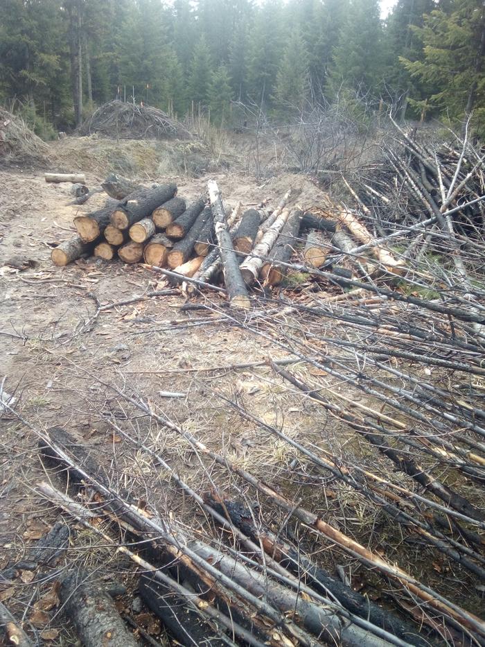 side benefit of junk pole fence building -firewood