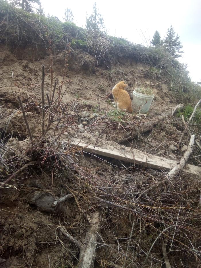 quality control examining the plantings...