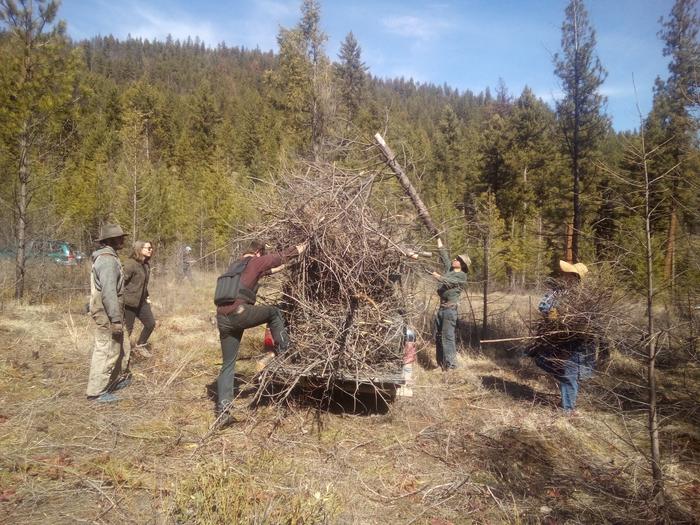 brush round up on the ranch