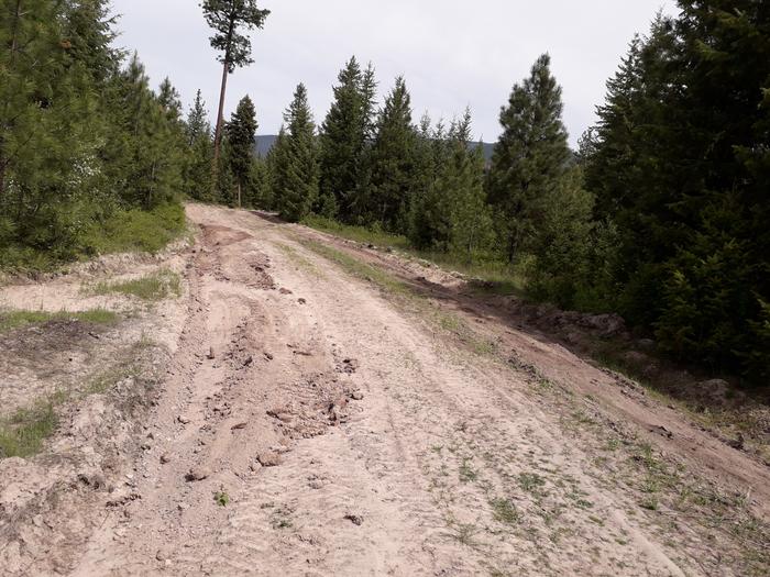 here is one patch of road I made some scratches on