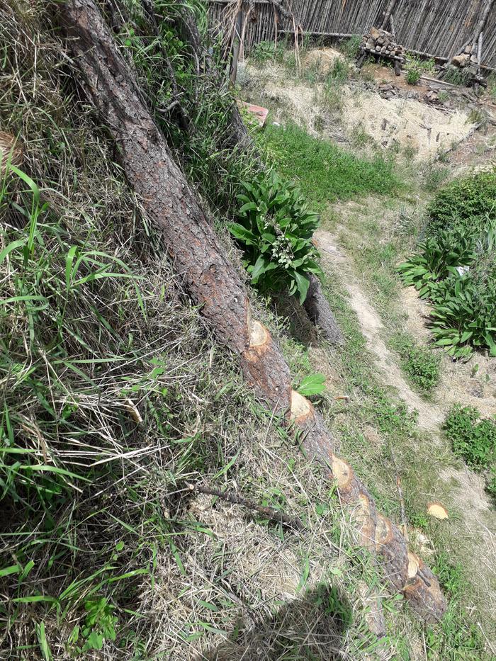 are those ants down there or people?