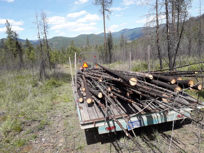 and came back with a burnt junk pole load