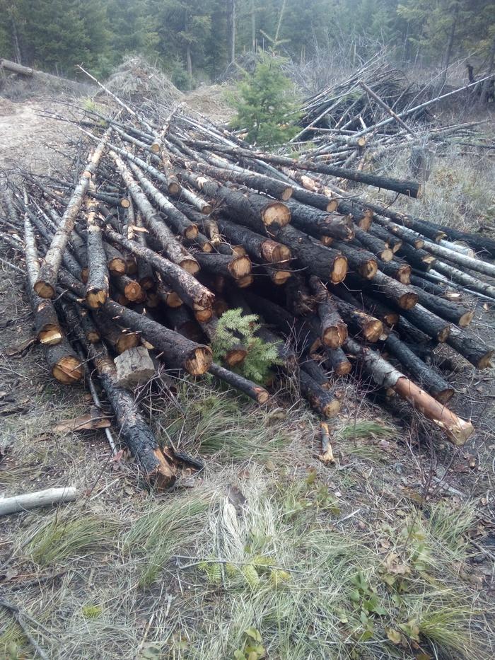 this pile and most of the other piles of junk poles are now gone