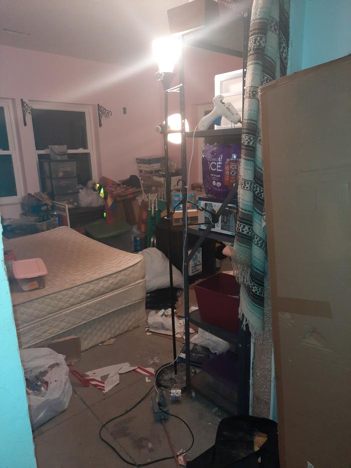 Floor Lamp