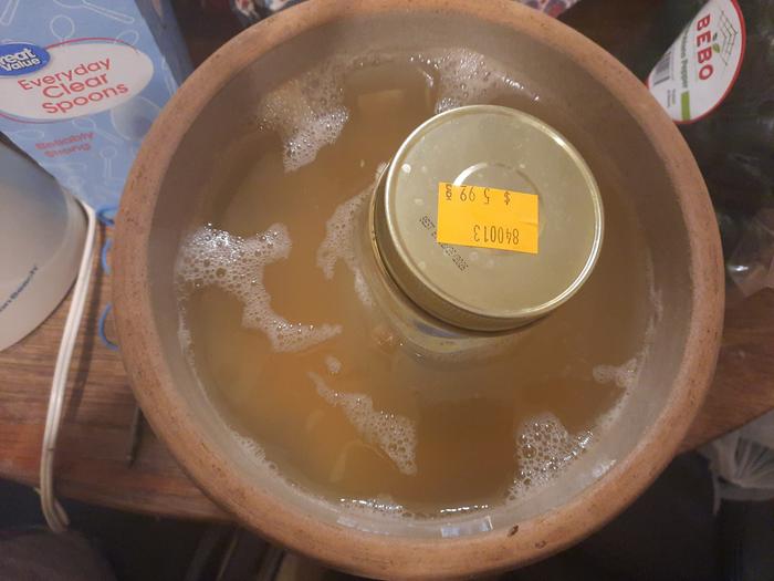 2 days in. Some bubbles, slight fermenty smell.