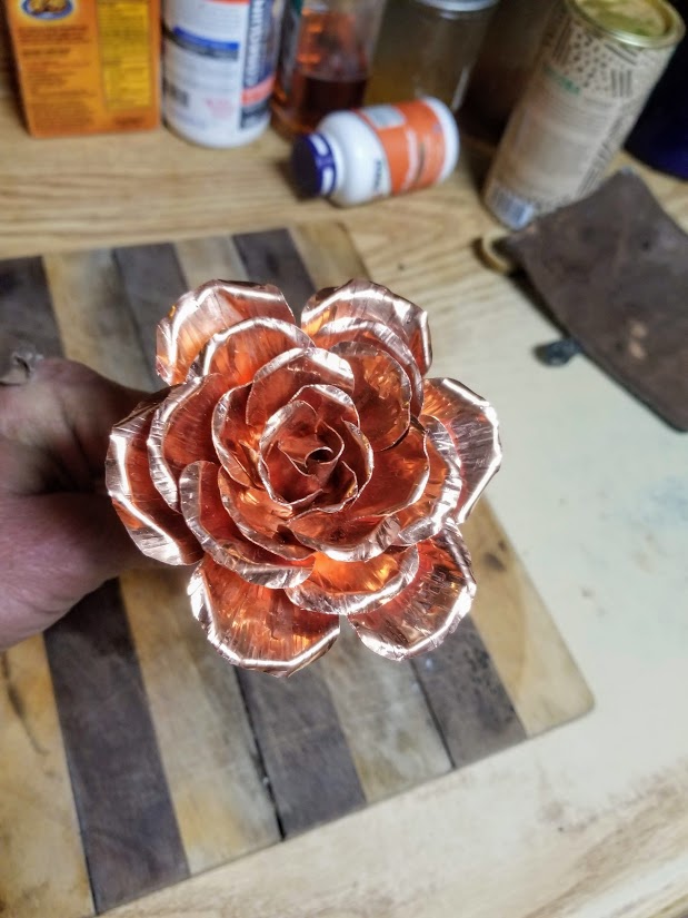 copper rose