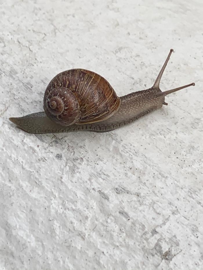 [Thumbnail for 5AD50C97-3912-4AA8-A1EA-3D26EA40620A.jpeg]