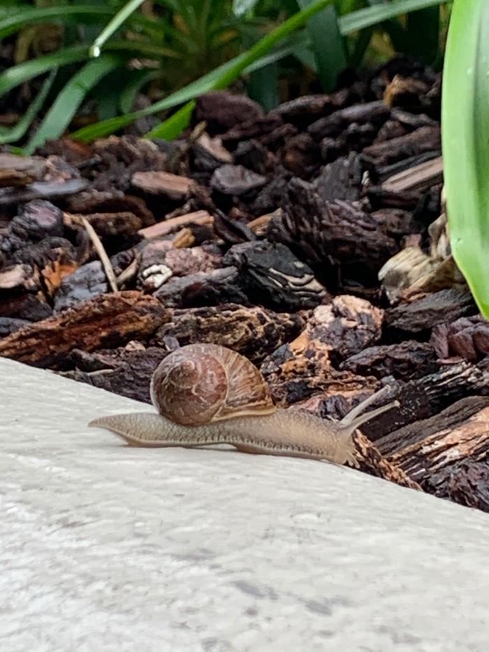 [Thumbnail for 85F0804C-AAD0-42A4-9E88-417DFB9EF6E6.jpeg]