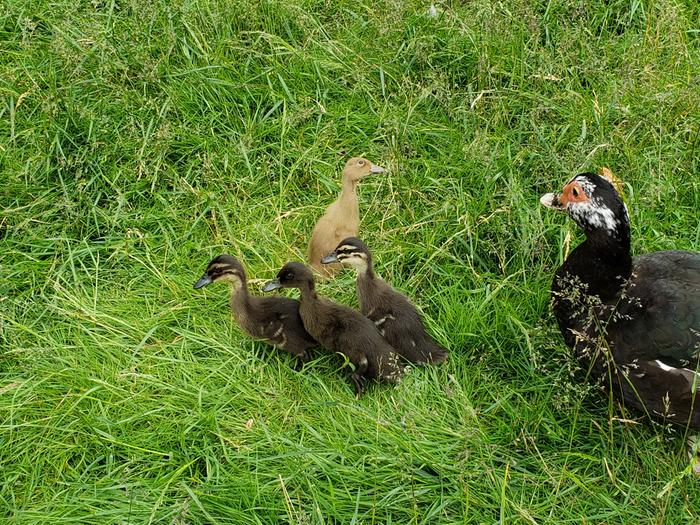 Mom is *very* protective!