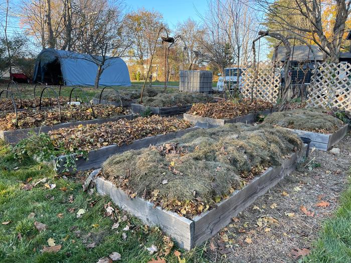The beds with thier fall mulching