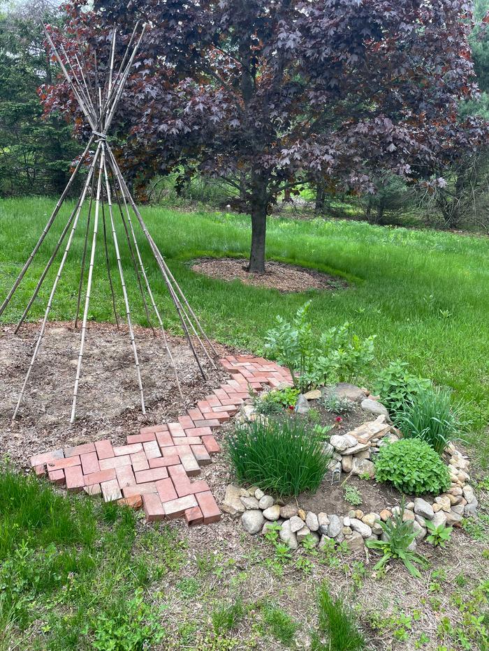 herb spiral with green bean tipi, and a brick path