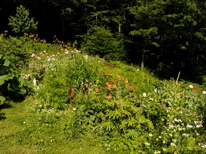 [Thumbnail for DSC07605.jpg]