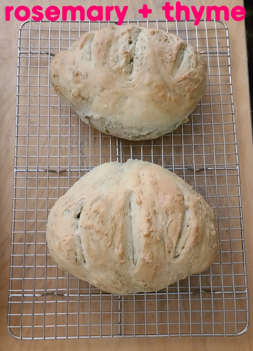 rosemary and thyme, June 2026