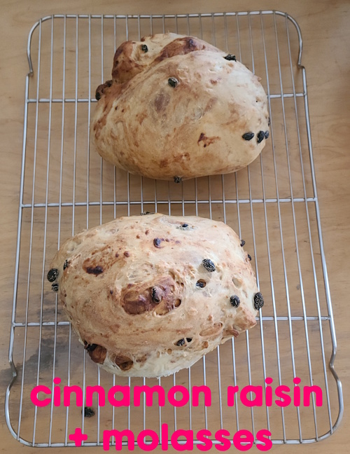 cinnamon raisin with molasses - I forgot to slice the tops today , June 2026