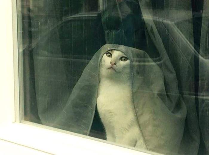 Sister Felicity Immaculata, Mother Superior of the Order of Eternal Indifference