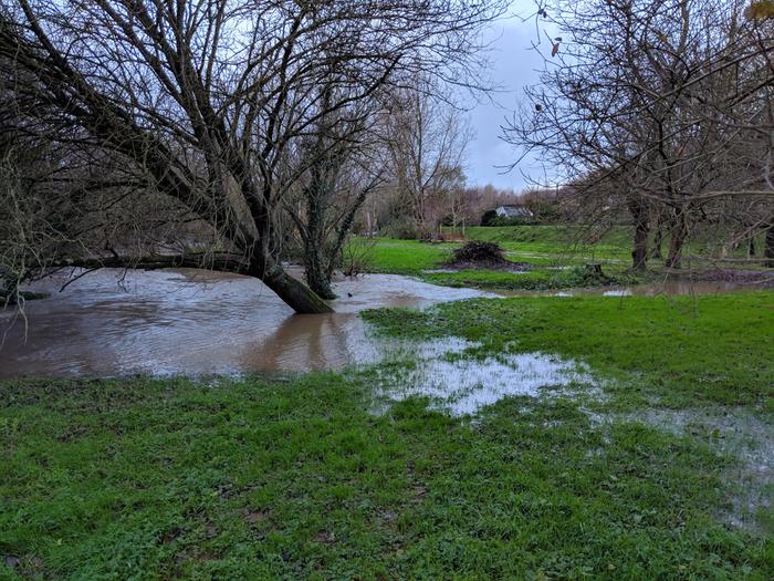 The trees casting the shade. This deluge of water is the most I have seen, not typical - this was after the river had overflowed.