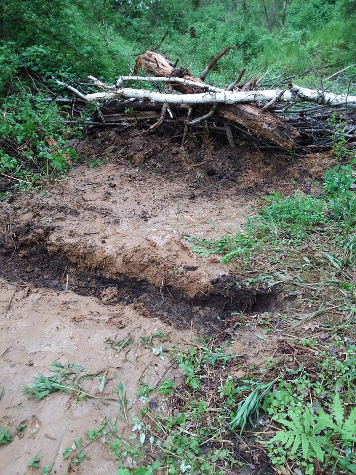 [Thumbnail for 20200523_185740.jpg]