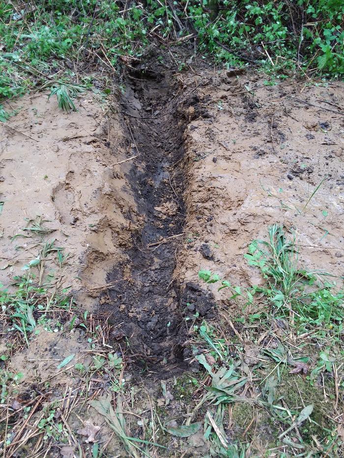 [Thumbnail for 20200523_185732.jpg]