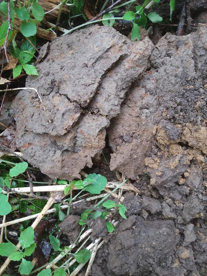 [Thumbnail for 20200523_184851.jpg]