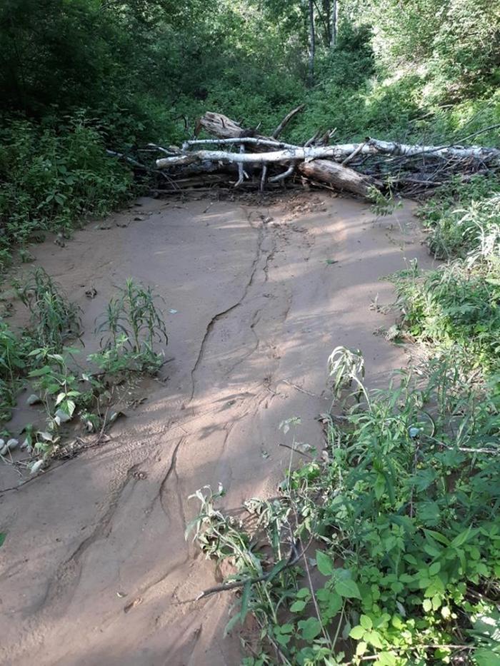 [Thumbnail for dam1.jpg]