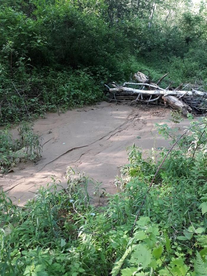 [Thumbnail for dam2.jpg]