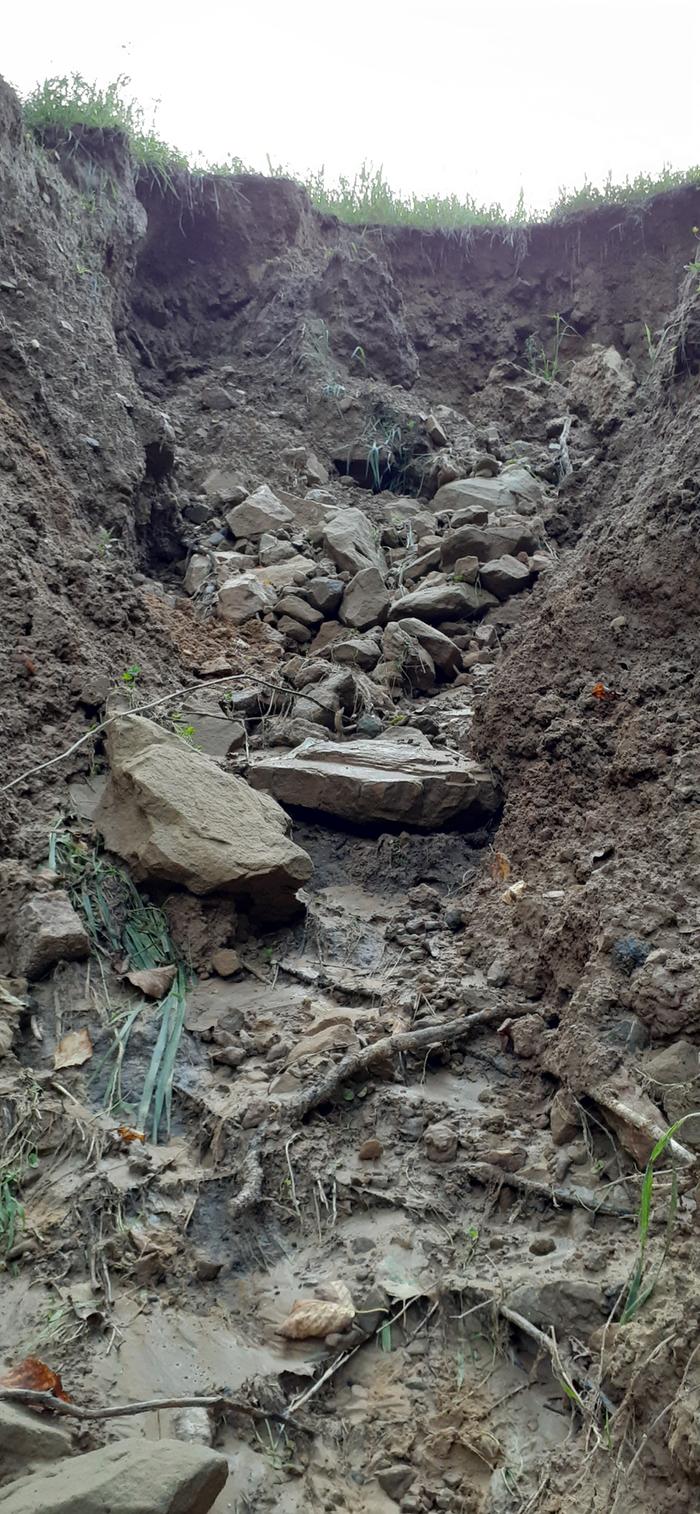 [Thumbnail for 20210812_195254.jpg]