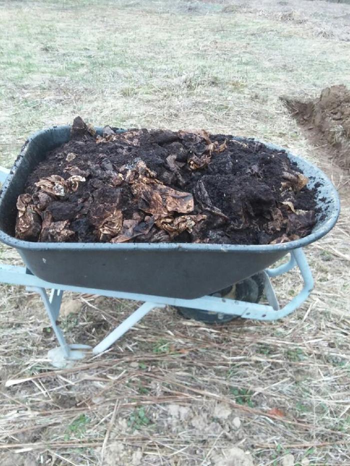 Wheelbarrow o' grounds