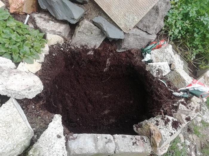 Since I can't go shopping for compost for the top layer I borrowed some from an unused section of the herb spiral