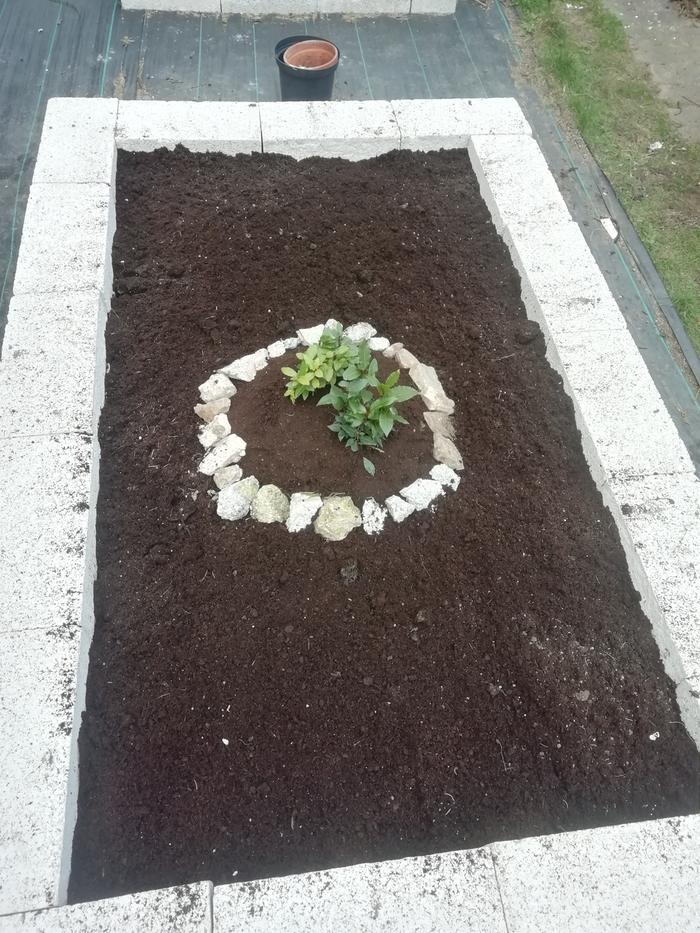 The finished bed minus the pine needle mulch for top dressing... The weather is getting windy so I'm gonna do that step tomorrow 
