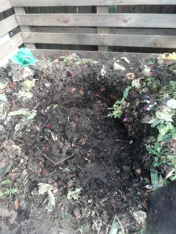 More compost pictures