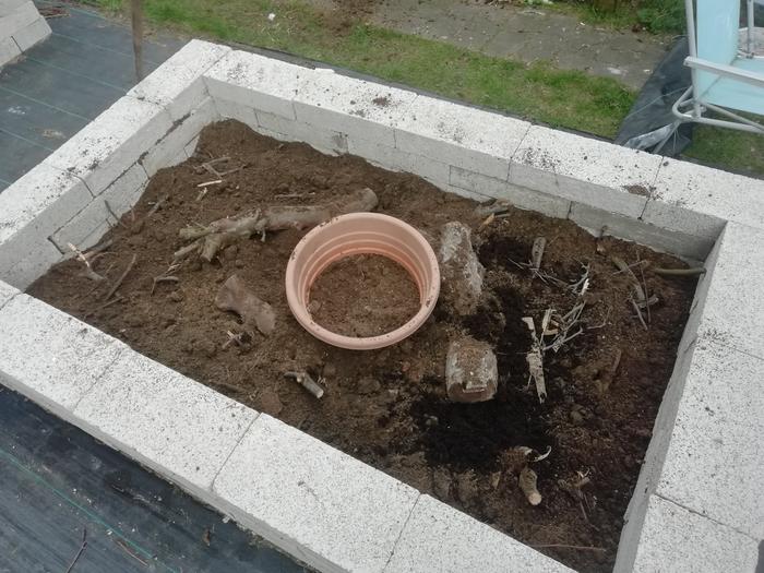 The dirt layer... I left some wood sticking out so it could be in contact with the compost... I also treaded it all down after this picture and added more where there were air pockets 