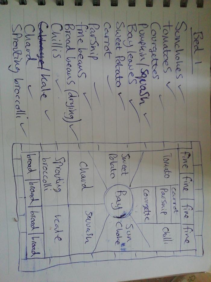 Plans plans plans