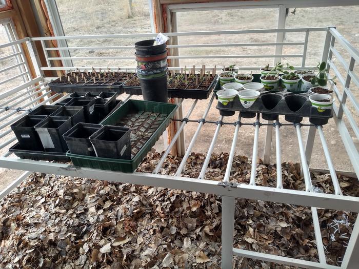 greenhouse bench made from a bed frame