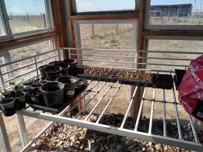 greenhouse growing table made from old bed frame