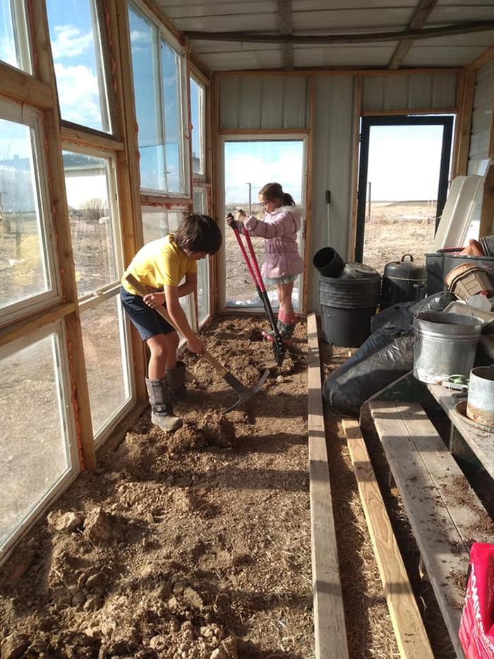broadforking a greenhouse bed
