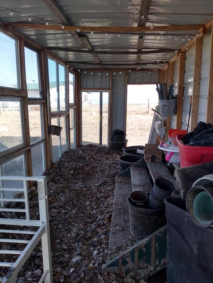 greenhouse with light strings and leaf mulch floor