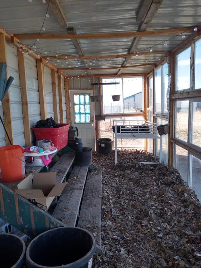 greenhouse interior with benches