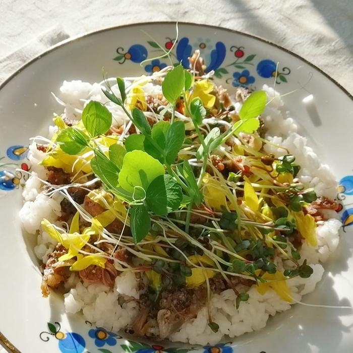 Roast lamb with rice, young shoots of sugar peas, forsythia flowers and radish sprouts.