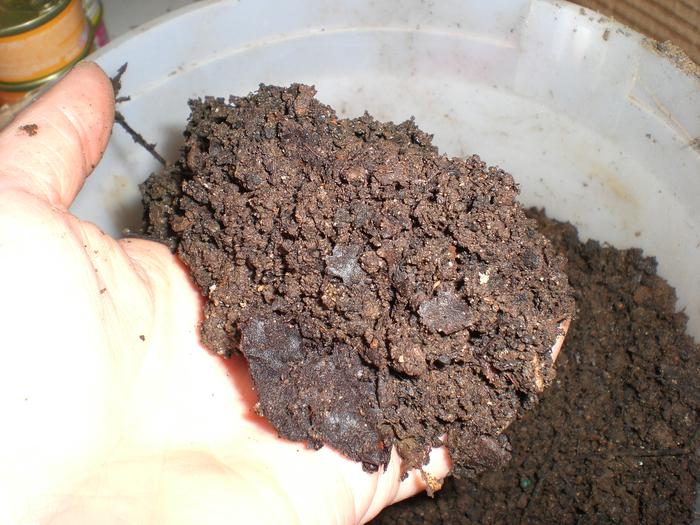 leaf mold and composted grass clippings